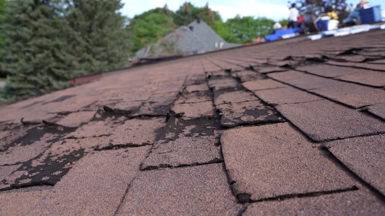 Best Roof Ventilation Installation  in Grandview Heights, OH
